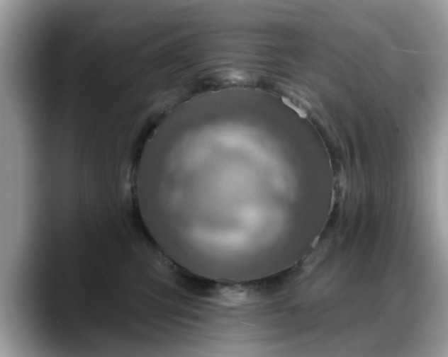 X0000088750423200706071724