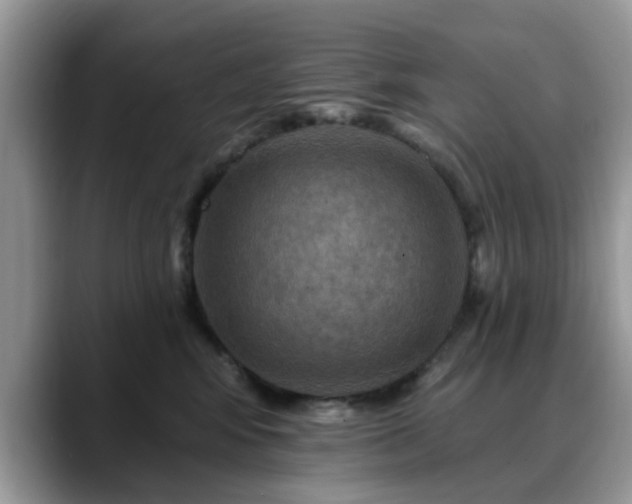 X0000088750424200706071724