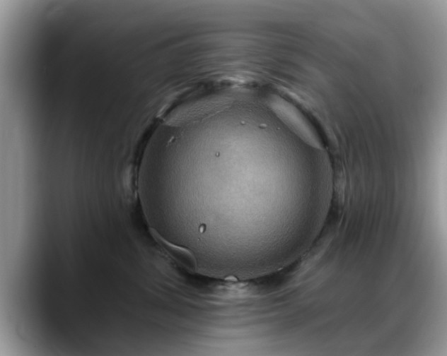 X0000088750428200706071724