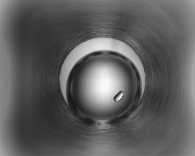 X0000088750429200706071724