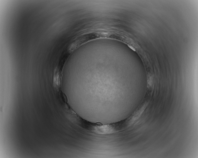 X0000088750431200706071724