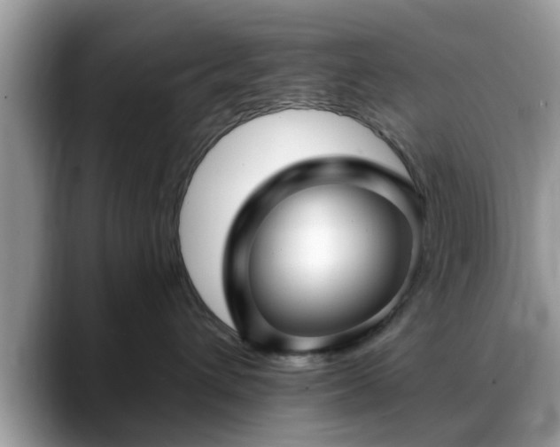 X0000088750432200706071724
