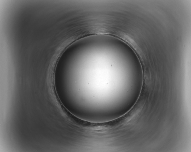X0000088750433200706071723