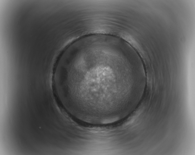 X0000088750434200706071723