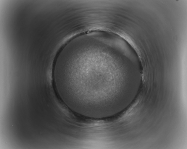 X0000088750438200706071723