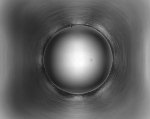 X0000088750441200706071723