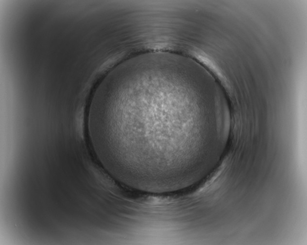 X0000088750442200706071723