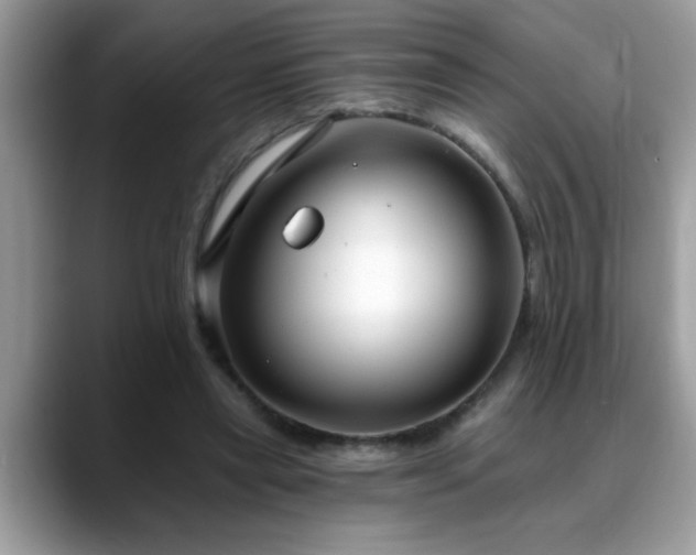 X0000088750445200706071723
