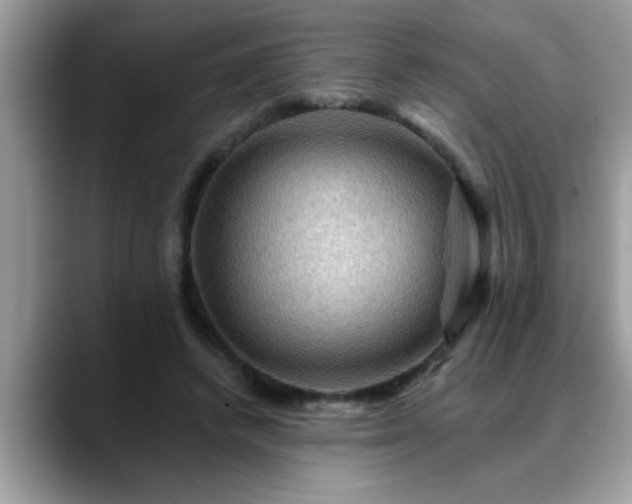 X0000088750448200706071723