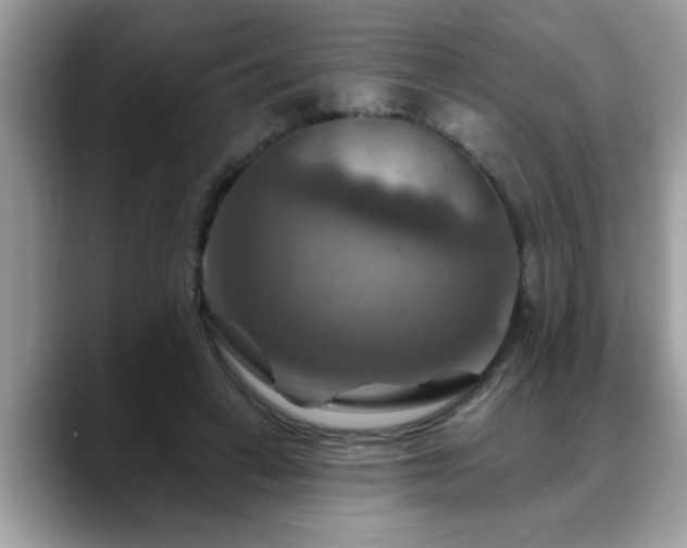 X0000088750449200706071723