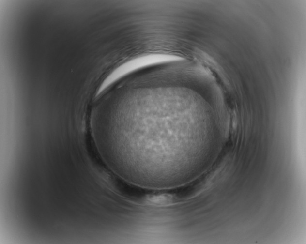 X0000088750452200706071723