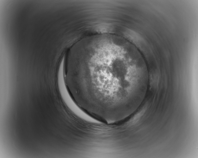 X0000088750453200706071724