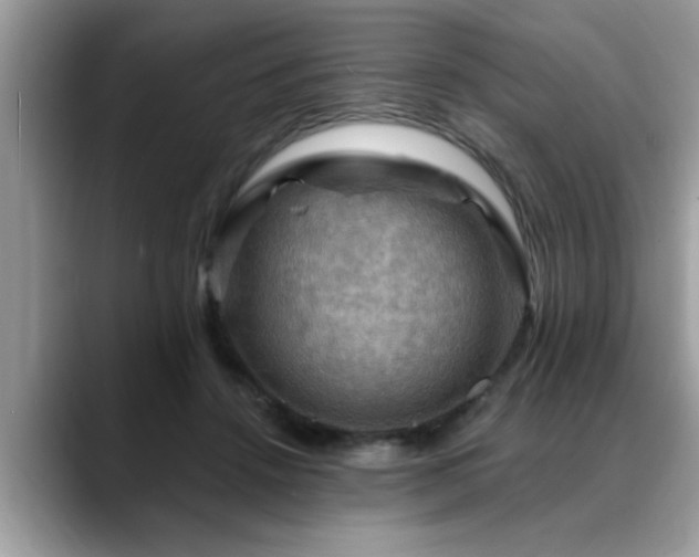 X0000088750456200706071724
