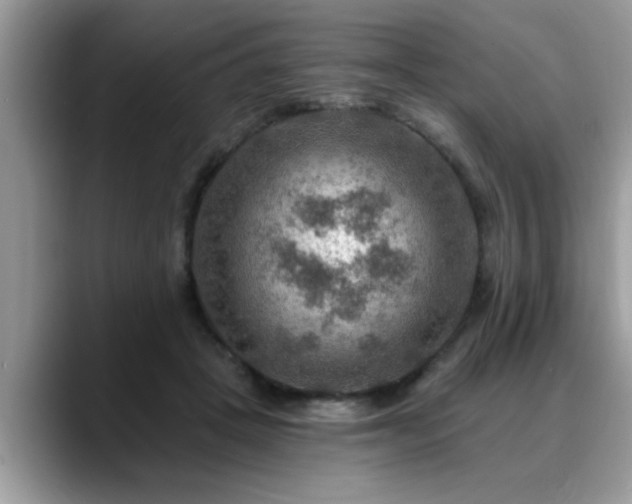 X0000088750457200706071724