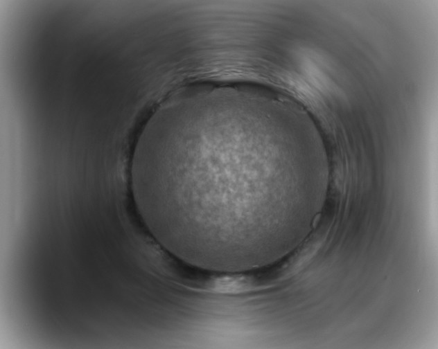 X0000088750461200706071724