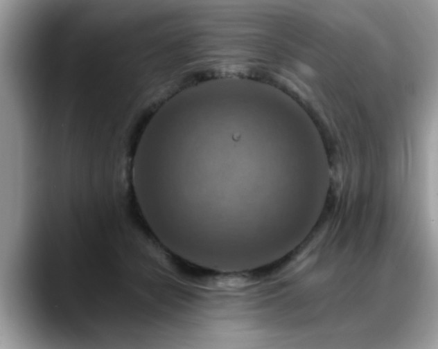 X0000088750462200706071724