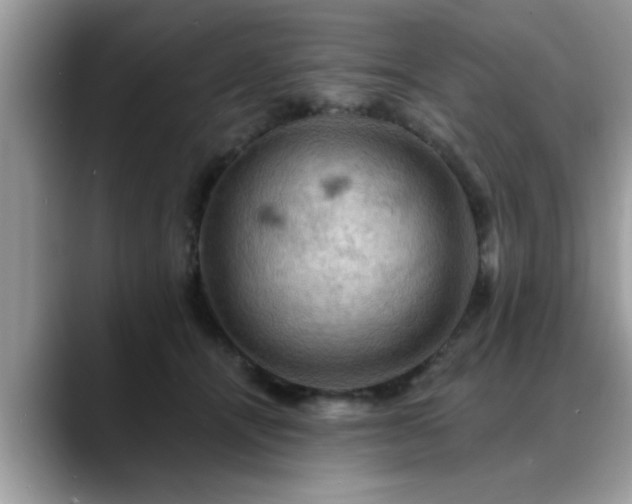 X0000088750464200706071724