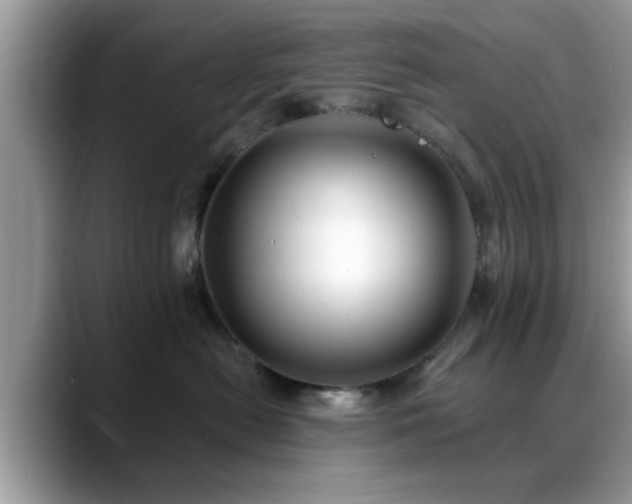 X0000088750478200706071724