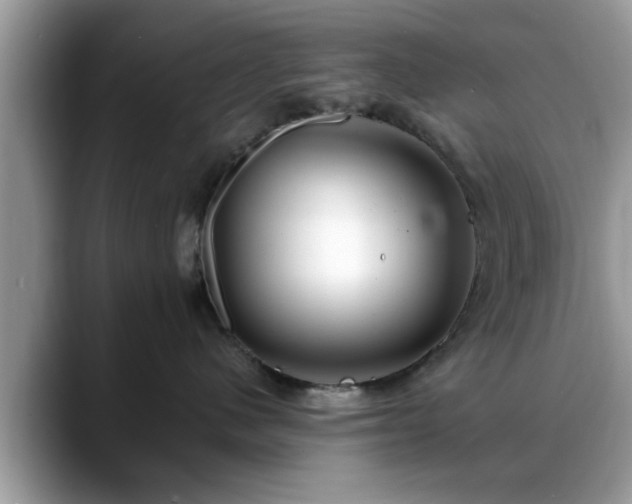 X0000088750480200706071724
