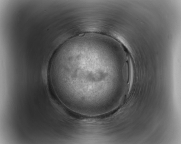 X0000088750482200706071723