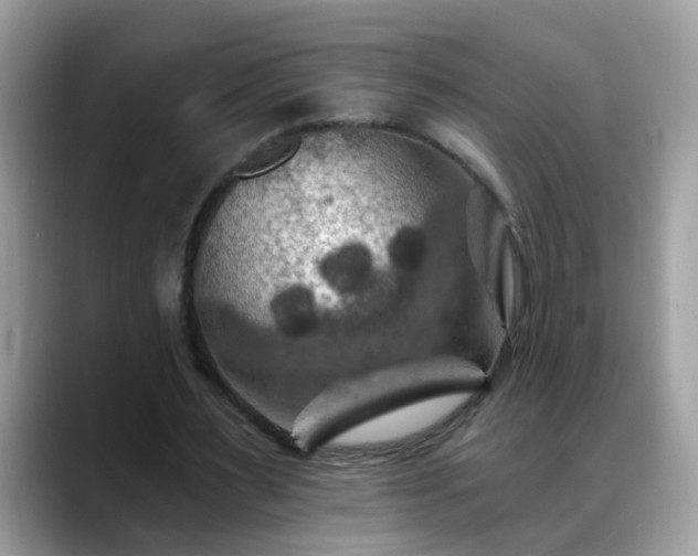 X0000088750483200706071723