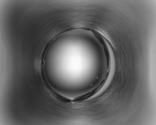 X0000088750485200706071723