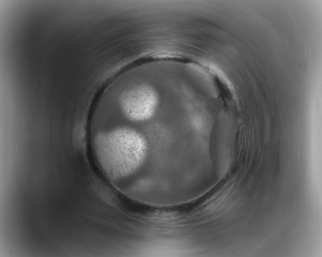 X0000088750487200706071723