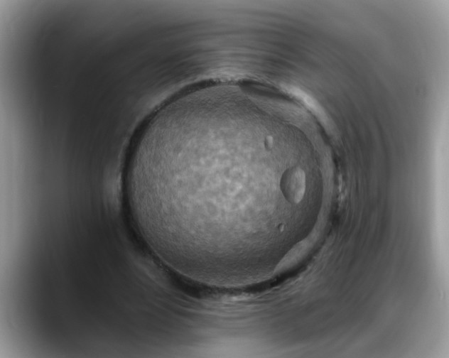 X0000088750488200706071723