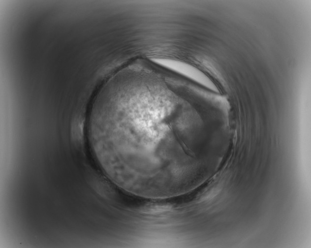 X0000088750491200706071723
