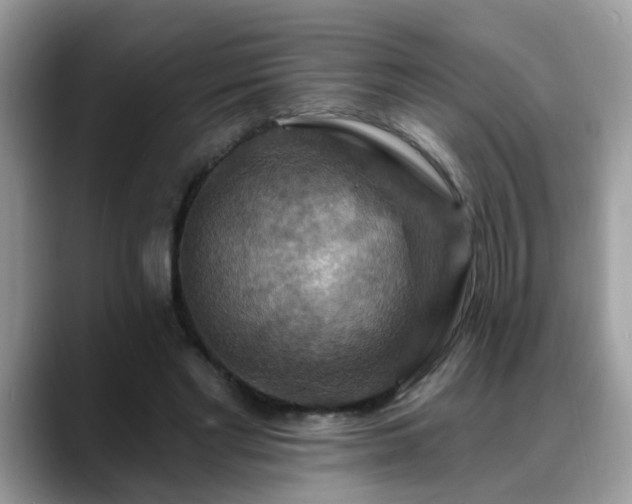 X0000088750493200706071723
