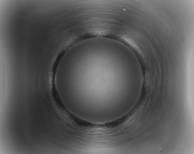 X0000088750494200706071723