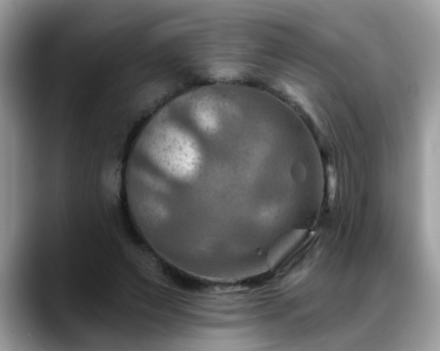 X0000088750495200706071723