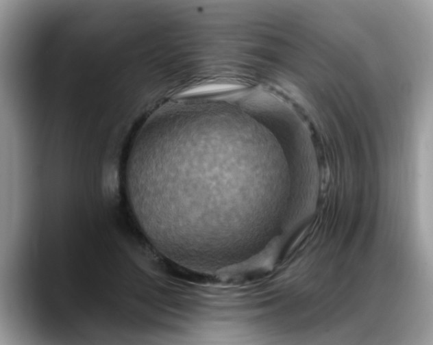X0000088750500200706071723