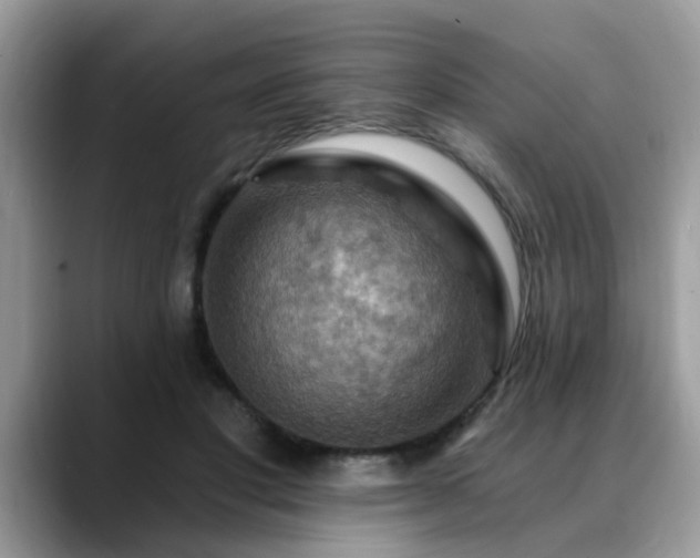 X0000088750501200706071723