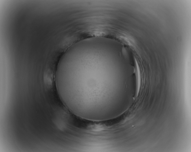 X0000088750503200706071723