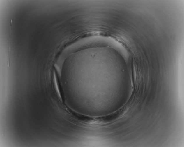 X0000088750504200706071723