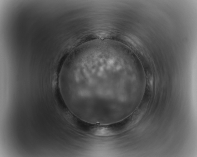 X0000088750507200706071723