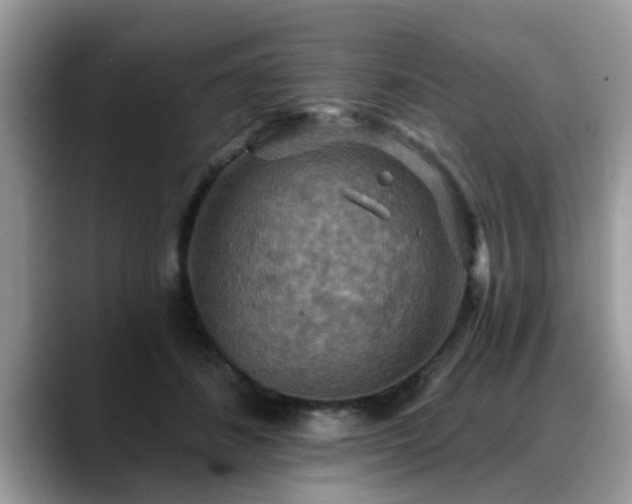 X0000088750508200706071723