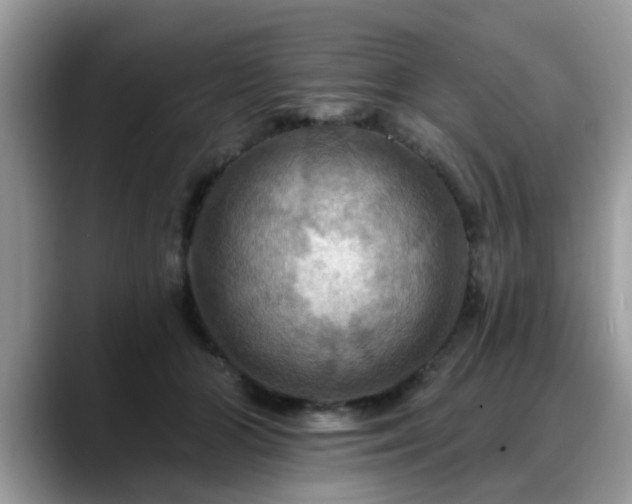 X0000088750510200706071723