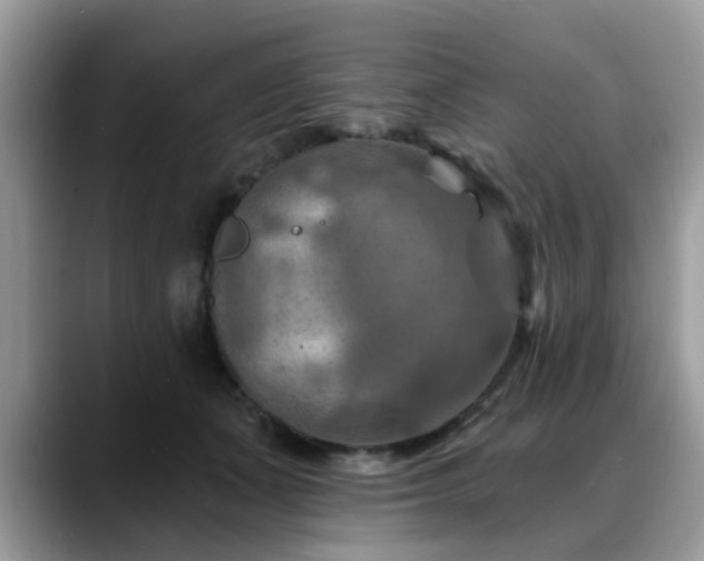 X0000088750511200706071723
