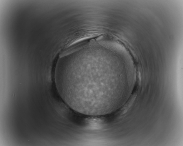 X0000088750512200706071723