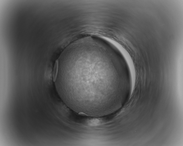 X0000088750513200706071723