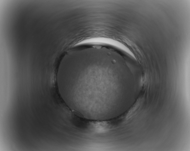 X0000088750517200706071723