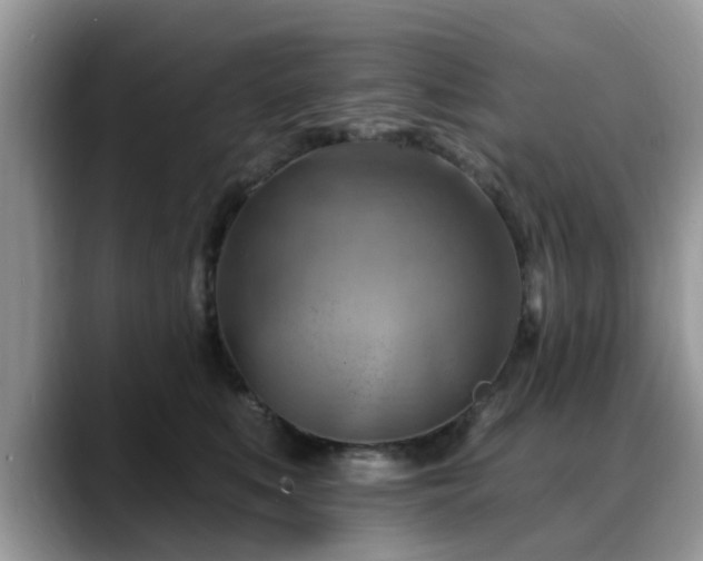 X0000088750519200706071723