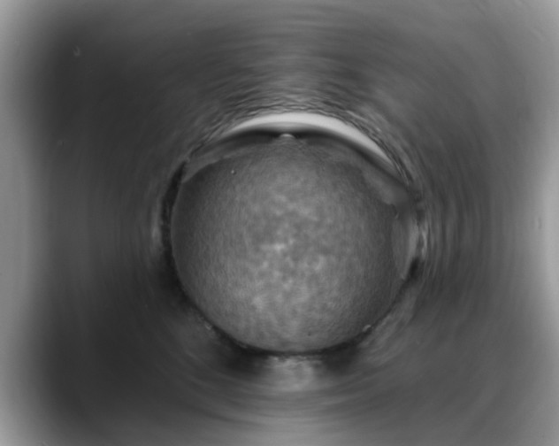 X0000088750520200706071723