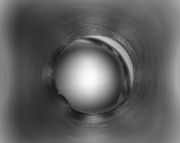 X0000088750521200706071723
