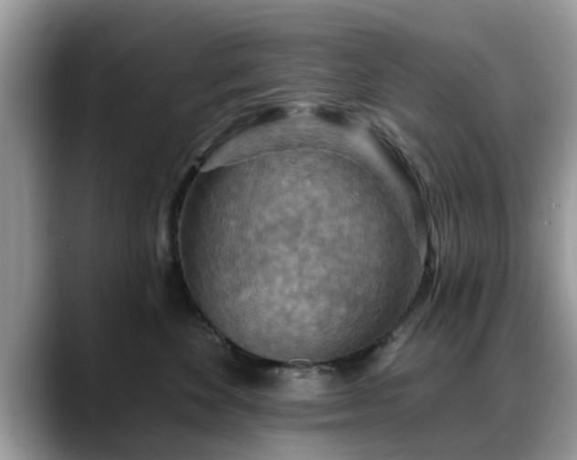 X0000088750524200706071723
