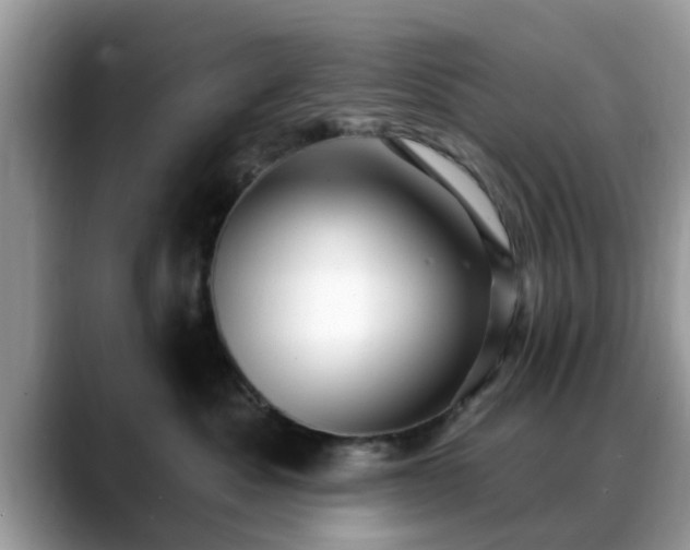 X0000088750525200706071723