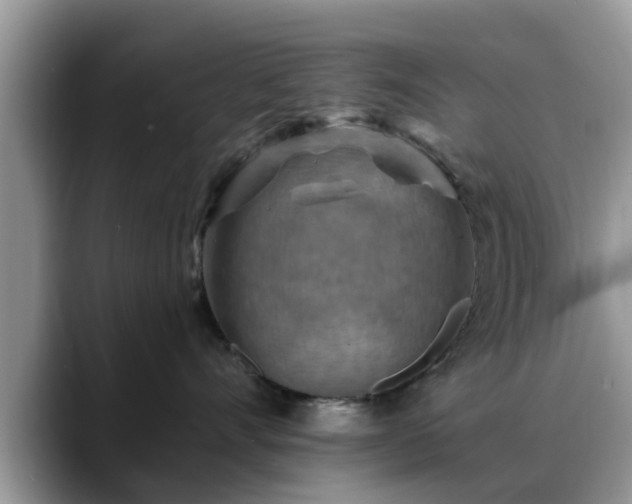 X0000088750528200706071723