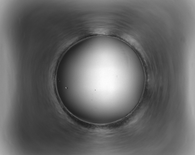 X0000088750529200706071722